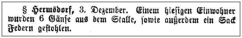 "Eisernberger Nachrichtsblatt" 03.12.1901
